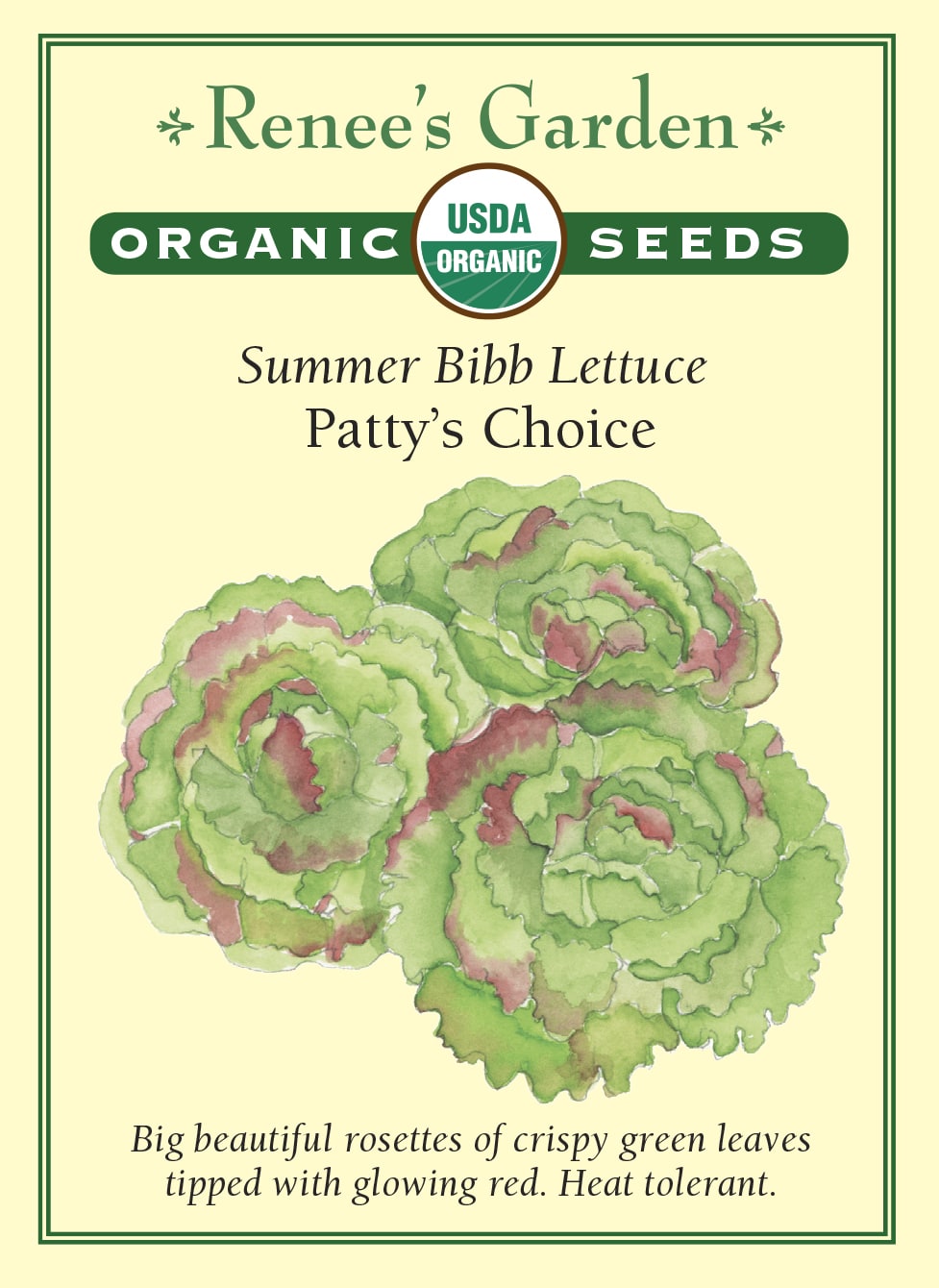 Visuel officiel de Renee's Garden pour les semences « Laitue ‘Patty’s Choice’ », référence RN3018. Cette laitue biologique forme de grosses rosettes dont les feuilles vertes frisées sont bordées de rouge bourgogne. Le semencier décrit une croissance rapide et une texture croquante. Les bordures colorées restent visibles dans les salades. Le contraste entre le vert et le rouge donne aussi une présence décorative à la planche potagère.