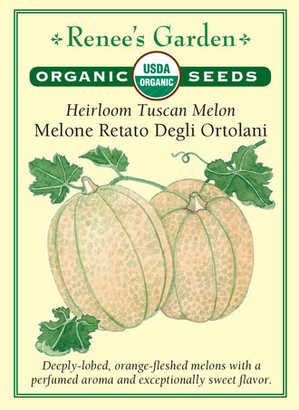 Visuel officiel de Renee's Garden pour les semences « Melon ‘Retato degli Ortolani’ », référence RN3020. Cette référence biologique de melon toscan porte des fruits fortement côtelés, à chair orange. Le semencier souligne leur parfum et leur saveur douce à maturité. Les tiges sont décrites comme productives. Les fruits se destinent à une consommation fraîche, lorsque la maturité permet de profiter de leur texture et de leur arôme.