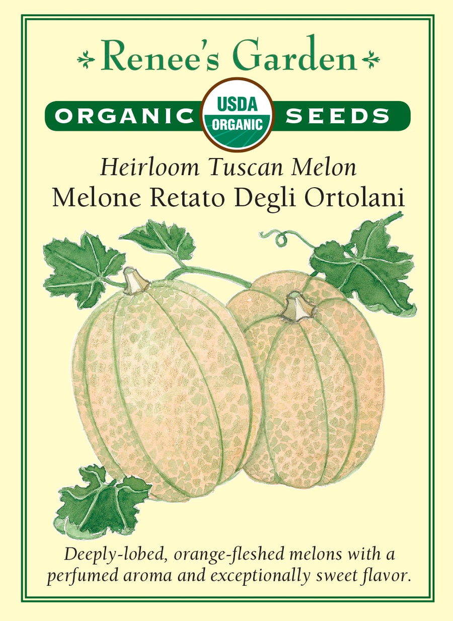 Visuel officiel de Renee's Garden pour les semences « Melon ‘Retato degli Ortolani’ », référence RN3020. Cette référence biologique de melon toscan porte des fruits fortement côtelés, à chair orange. Le semencier souligne leur parfum et leur saveur douce à maturité. Les tiges sont décrites comme productives. Les fruits se destinent à une consommation fraîche, lorsque la maturité permet de profiter de leur texture et de leur arôme.
