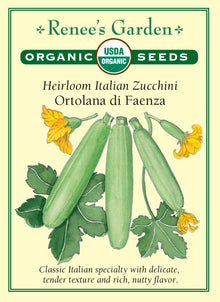 Visuel officiel de Renee's Garden pour les semences « Courgette ‘Ortolana di Faenza’ », référence RN3022. Cette référence biologique italienne porte des fruits vert clair sur des plants au feuillage marbré. Le semencier décrit une production précoce et une chair tendre, peu aqueuse. Les courgettes se récoltent jeunes pour conserver la texture recherchée. Leur couleur claire permet de varier une récolte composée de plusieurs types.