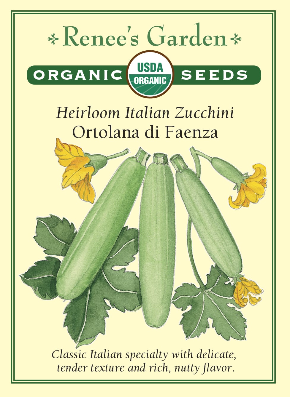 Visuel officiel de Renee's Garden pour les semences « Courgette ‘Ortolana di Faenza’ », référence RN3022. Cette référence biologique italienne porte des fruits vert clair sur des plants au feuillage marbré. Le semencier décrit une production précoce et une chair tendre, peu aqueuse. Les courgettes se récoltent jeunes pour conserver la texture recherchée. Leur couleur claire permet de varier une récolte composée de plusieurs types.