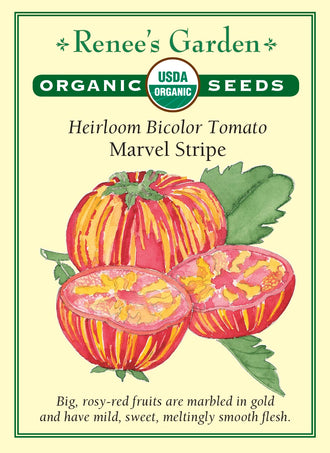 Visuel officiel de Renee's Garden pour les semences « Tomate ‘Marvel Stripe’ », référence RN3023. Cette référence biologique produit de grosses tomates dorées marbrées de rose-rouge, sur des tiges vigoureuses. Le semencier décrit une chair douce et souple. Le motif bicolore apparaît aussi à la coupe et donne un intérêt particulier aux tranches. Les fruits se destinent notamment à la consommation fraîche.