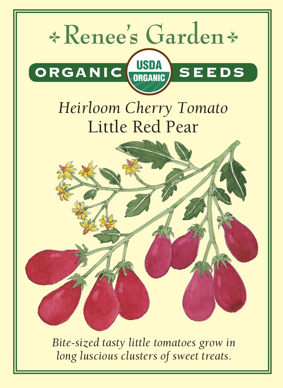 Visuel officiel de Renee's Garden pour les semences « Tomate ‘Little Red Pear’ », référence RN3024. Cette référence biologique porte de petites tomates rouges en forme de poire, réunies en grappes sur des tiges vigoureuses. Le semencier décrit une saveur douce. Leur petit format convient aux collations et aux salades. La silhouette des fruits permet de les distinguer facilement de tomates cerises parfaitement rondes.