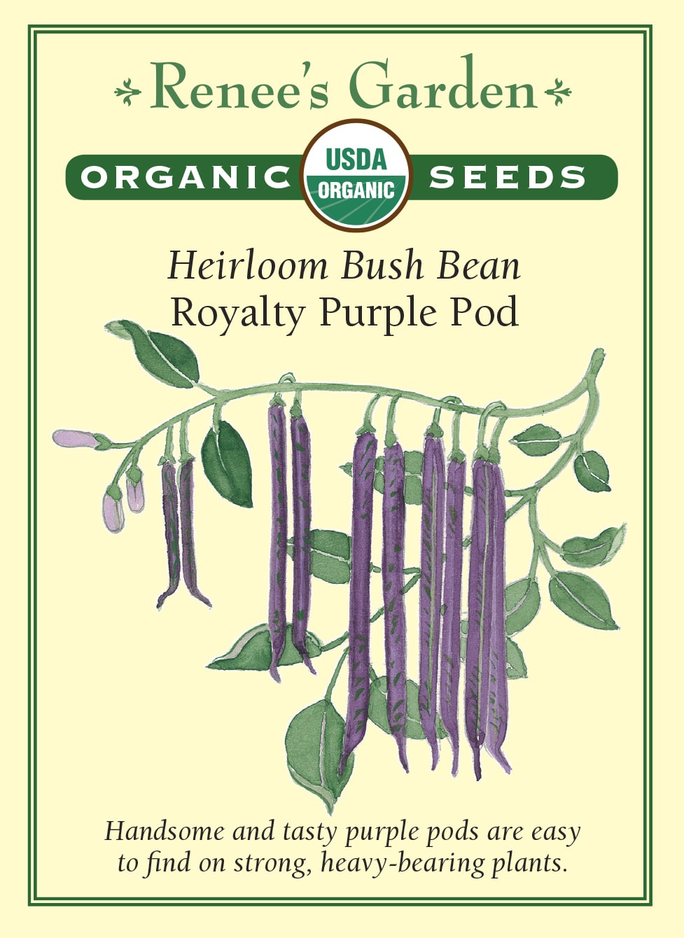 Visuel officiel de Renee's Garden pour les semences « Haricot nain ‘Royalty Purple Pod’ », référence RN3028. Les gousses pourpre foncé de cette variété se détachent nettement du feuillage vert, ce qui facilite leur repérage au moment de la cueillette. Le semencier souligne sa polyvalence au jardin et en cuisine. Ce haricot nain permet de diversifier une récolte de gousses fraîches sans installer les grands supports nécessaires aux variétés grimpantes.