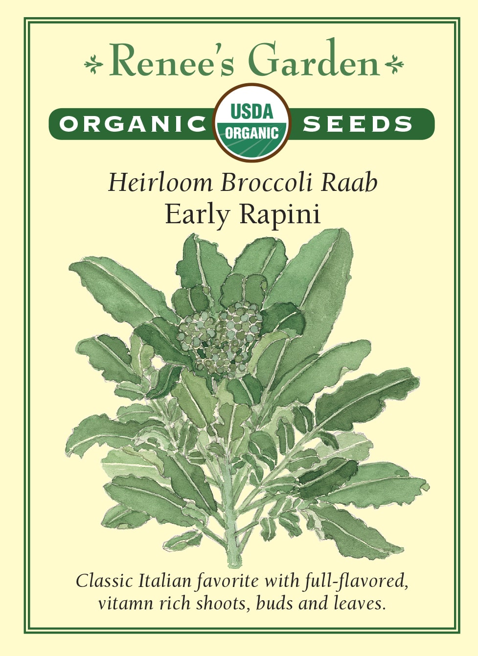 Visuel officiel de Renee's Garden pour les semences « Rapini », référence RN3031. Cette verdure italienne de saison fraîche produit des feuilles vert foncé, des tiges tendres et de petits bouquets de boutons floraux. Sa saveur est plus affirmée que celle du brocoli en pomme. Cette référence biologique se récolte pour l’ensemble de ses jeunes pousses. Les feuilles et les tiges conviennent notamment à une cuisson à la poêle, avec un assaisonnement adapté à leur caractère.