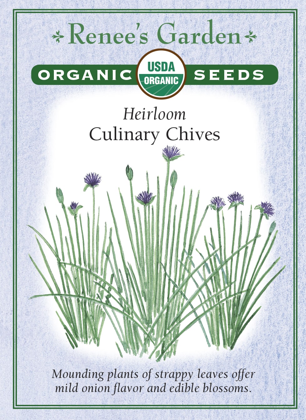 Visuel officiel de Renee's Garden associé aux semences de Ciboulette, référence RN3033. Cette référence biologique d’Allium schoenoprasum forme des touffes de feuilles à saveur douce d’oignon. Le semencier décrit une plante vivace portant des fleurs lilas. Les feuilles aromatisent les salades, les légumes et les plats d’œufs. La récolte de petites quantités permet de garder une touffe disponible pendant la saison de croissance.