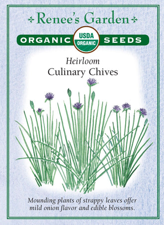 Visuel officiel de Renee's Garden associé aux semences de Ciboulette, référence RN3033. Cette référence biologique d’Allium schoenoprasum forme des touffes de feuilles à saveur douce d’oignon. Le semencier décrit une plante vivace portant des fleurs lilas. Les feuilles aromatisent les salades, les légumes et les plats d’œufs. La récolte de petites quantités permet de garder une touffe disponible pendant la saison de croissance.
