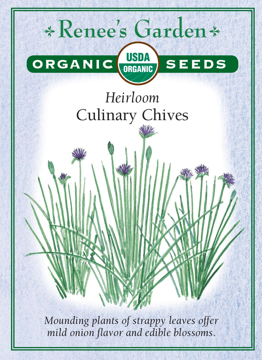 Visuel officiel de Renee's Garden associé aux semences de Ciboulette, référence RN3033. Cette référence biologique d’Allium schoenoprasum forme des touffes de feuilles à saveur douce d’oignon. Le semencier décrit une plante vivace portant des fleurs lilas. Les feuilles aromatisent les salades, les légumes et les plats d’œufs. La récolte de petites quantités permet de garder une touffe disponible pendant la saison de croissance.