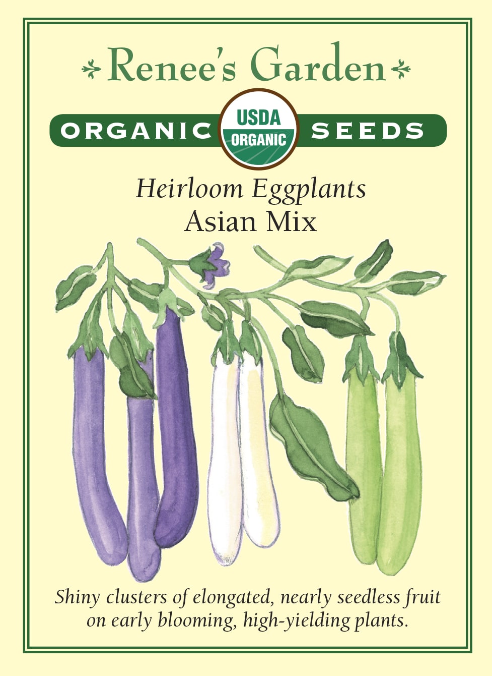 Visuel officiel de Renee's Garden pour les semences « Aubergines en mélange Asian Mix », référence RN3036. Ce mélange biologique réunit à parts égales des aubergines de type Purple Fingers, Green Fingers et White Fingers. Les fruits courts et allongés présentent donc des couleurs pourpres, vertes ou blanches. Le semencier décrit des plants précoces portant des grappes de fruits. La chair offre une saveur douce qui se prête à différentes préparations d’aubergines cuites.