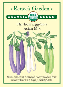Visuel officiel de Renee's Garden pour les semences « Aubergines en mélange Asian Mix », référence RN3036. Ce mélange biologique réunit à parts égales des aubergines de type Purple Fingers, Green Fingers et White Fingers. Les fruits courts et allongés présentent donc des couleurs pourpres, vertes ou blanches. Le semencier décrit des plants précoces portant des grappes de fruits. La chair offre une saveur douce qui se prête à différentes préparations d’aubergines cuites.