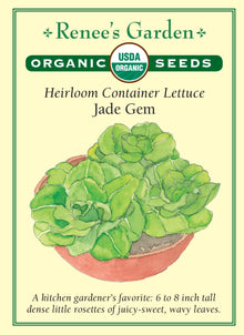 Visuel officiel de Renee's Garden pour les semences « Laitue ‘Jade Gem’ », référence RN3037. Cette référence biologique forme de petites rosettes épaisses de feuilles ondulées, ressemblant à des mini romaines. Le semencier indique une hauteur d’environ 15 à 20 cm (6 à 8 po). Les feuilles sont décrites comme juteuses et douces. Le petit calibre permet de récolter une rosette sans attendre le volume d’une grande laitue.