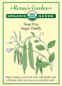 Visuel officiel de Renee's Garden pour les semences « Pois croquant ‘Sugar Daddy’ », référence RN3040. Cette référence biologique produit des plants à développement réduit qui portent des gousses souvent par paires. Les gousses charnues renferment des pois doux. Le semencier souligne une production précoce et une bonne abondance de récolte. Ce pois croquant se consomme avec sa gousse lorsqu’elle demeure tendre.