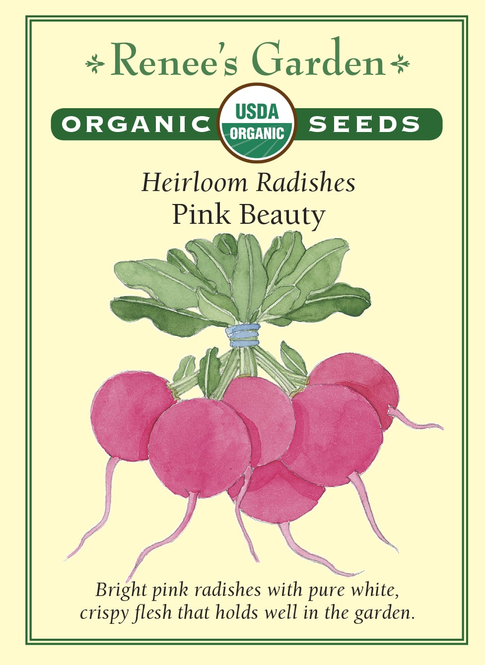 Visuel officiel de Renee's Garden pour les semences « Radis ‘Pink Beauty’ », référence RN3045. Cette référence biologique porte des racines rose magenta et une chair blanche croquante. Le semencier décrit une croissance rapide. La couleur permet de diversifier une assiette de crudités ou une planche de radis. Les racines se récoltent au bon calibre, avant qu’un séjour trop prolongé en terre nuise à leur texture.