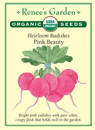Visuel officiel de Renee's Garden pour les semences « Radis ‘Pink Beauty’ », référence RN3045. Cette référence biologique porte des racines rose magenta et une chair blanche croquante. Le semencier décrit une croissance rapide. La couleur permet de diversifier une assiette de crudités ou une planche de radis. Les racines se récoltent au bon calibre, avant qu’un séjour trop prolongé en terre nuise à leur texture.