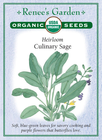 Visuel officiel de Renee's Garden associé aux semences de Sauge officinale, référence RN3046. Cette référence biologique de Salvia officinalis porte un feuillage souple bleu-vert et des fleurs décoratives. Le semencier la propose pour la cuisine, notamment avec les courges et les plats salés. Les feuilles peuvent être récoltées fraîches ou séchées. Elle doit être distinguée des sauges ornementales dont les usages culinaires ne sont pas les mêmes.