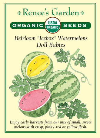Visuel officiel de Renee's Garden pour les semences « Melons d’eau en mélange Doll Babies », référence RN3052. Cette référence biologique associe ‘Baby Doll F1’, à chair jaune, et ‘Sugar Baby’, à chair rose-rouge. Les petits melons sont décrits comme doux et croquants. Le semencier souligne des tiges vigoureuses et des écorces résistantes à l’éclatement. Chaque fruit doit être suivi selon sa variété et ses propres signes de maturité.