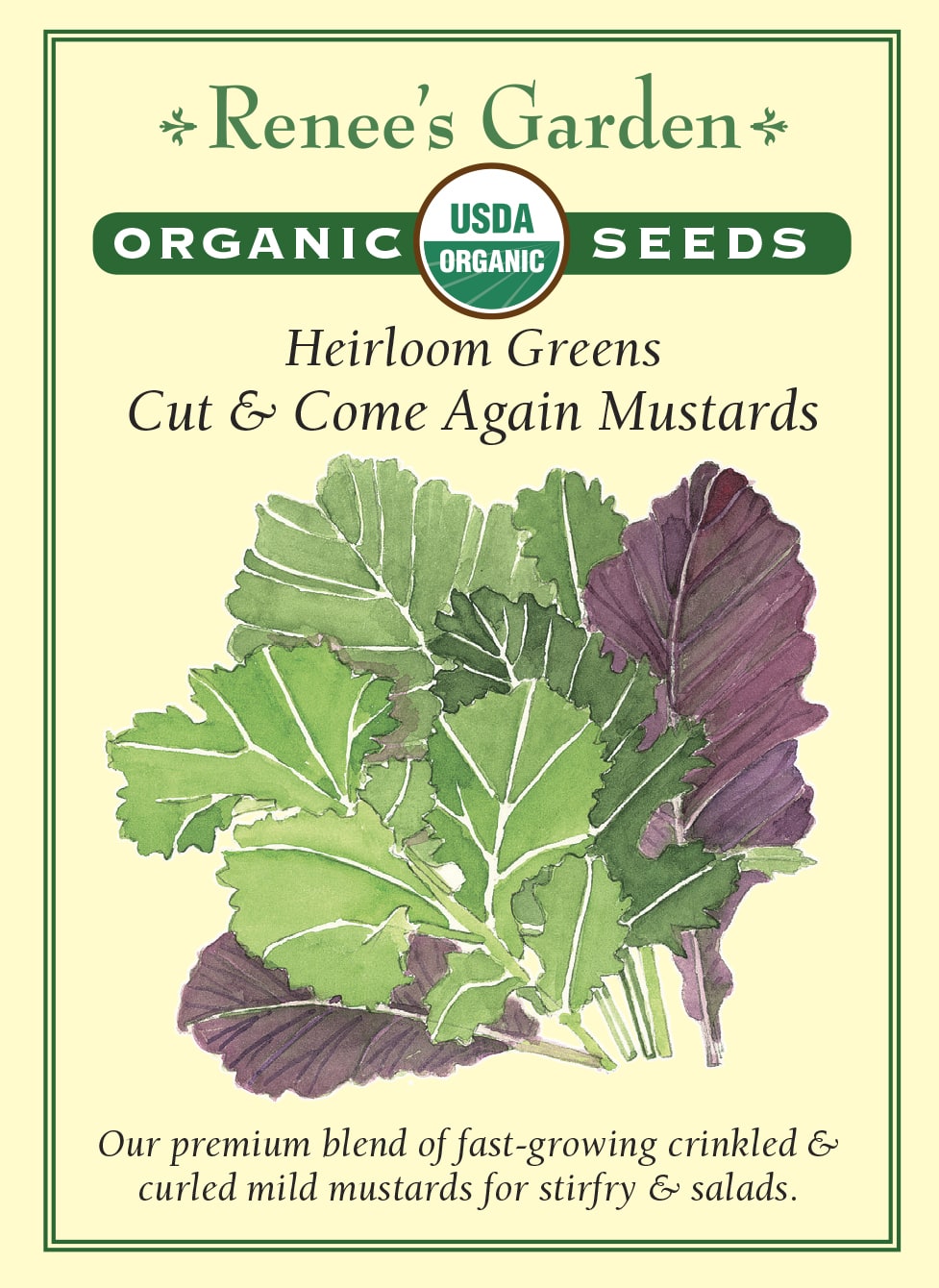 Visuel officiel de Renee's Garden pour les semences « Moutardes en mélange Cut and Come Again », référence RN3053. Ce mélange biologique rassemble des verdures à feuilles lisses et frisées appartenant à Brassica rapa, selon le semencier. Il est destiné aux récoltes de jeunes feuilles en saison fraîche. Les saveurs relevées conviennent aux salades composées et aux sautés. Une coupe qui préserve le cœur permet de profiter de la repousse lorsque les plants demeurent en bonne croissance.