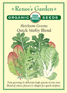 Visuel officiel de Renee's Garden pour les semences « Verdure en mélange Quick Stirfry Blend », référence RN3054. Cette référence biologique réunit du mizspoona et du mizuna, des choux-feuilles Wild Garden ainsi que des moutardes douces ‘Magma’ et ‘Great Wave’. Le mélange est présenté comme une récolte rapide pour les sautés. Il associe plusieurs couleurs, formes et intensités de saveur. Les jeunes feuilles peuvent être coupées au fur et à mesure des besoins.