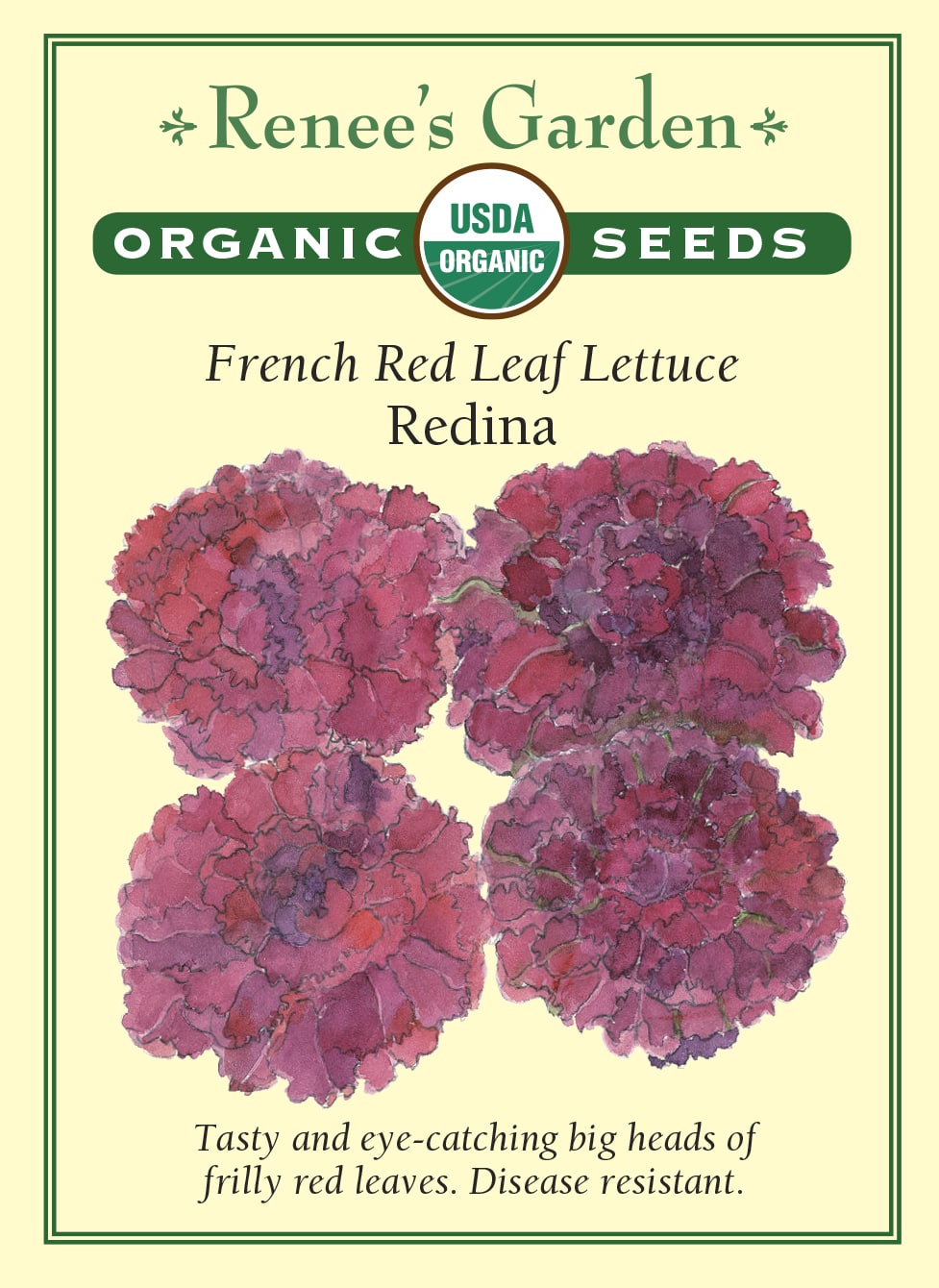 Visuel officiel de Renee's Garden pour les semences « Laitue ‘Redina’ », référence RN3056. Cette laitue biologique forme de grandes rosettes de feuilles rouges, frisées et ondulées, entourant un cœur vert. Le semencier souligne son intérêt décoratif et sa saveur. Les feuilles permettent de varier la couleur des salades tout en conservant le contraste du centre de la rosette. La plante se récolte selon le calibre de feuille recherché.