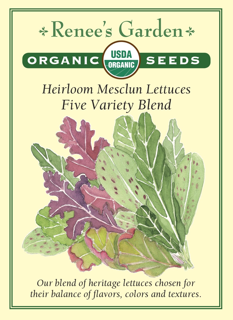 Visuel officiel de Renee's Garden pour les semences « Laitues en mélange Five Variety Blend », référence RN3058. Cette référence biologique contient à parts égales ‘Troutback’, ‘Blush Butter Cos’, ‘Red Ruffled Oak’, ‘Red Devil’s Tongue’ et ‘Sucrine’. Le mélange vise une récolte de jeunes feuilles aux formes et aux couleurs variées. Les textures et les saveurs diffèrent légèrement entre les composantes. Une cueillette attentive permet de récolter les feuilles au stade souhaité.