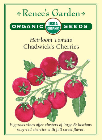 Visuel officiel de Renee's Garden pour les semences « Tomate cerise ‘Chadwick’s Cherry’ », référence RN3062. Cette référence biologique produit de grosses tomates cerises sur des tiges grimpantes chargées de grappes. Le semencier souligne une saveur de tomate riche et pleine. Les fruits sont destinés notamment à la consommation fraîche. Le développement des tiges demande un support adapté et un accès commode pour suivre la maturité des grappes.