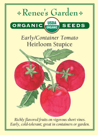 Visuel officiel de Renee's Garden pour les semences « Tomate ‘Stupice’ », référence RN3063. Cette référence biologique d’origine tchèque est proposée pour sa précocité et sa capacité à produire par temps relativement frais. Le semencier décrit des tiges peu encombrantes et des fruits savoureux. La sélection est notamment recommandée pour les contenants et les petits jardins. Un support demeure utile pour accompagner les tiges chargées.