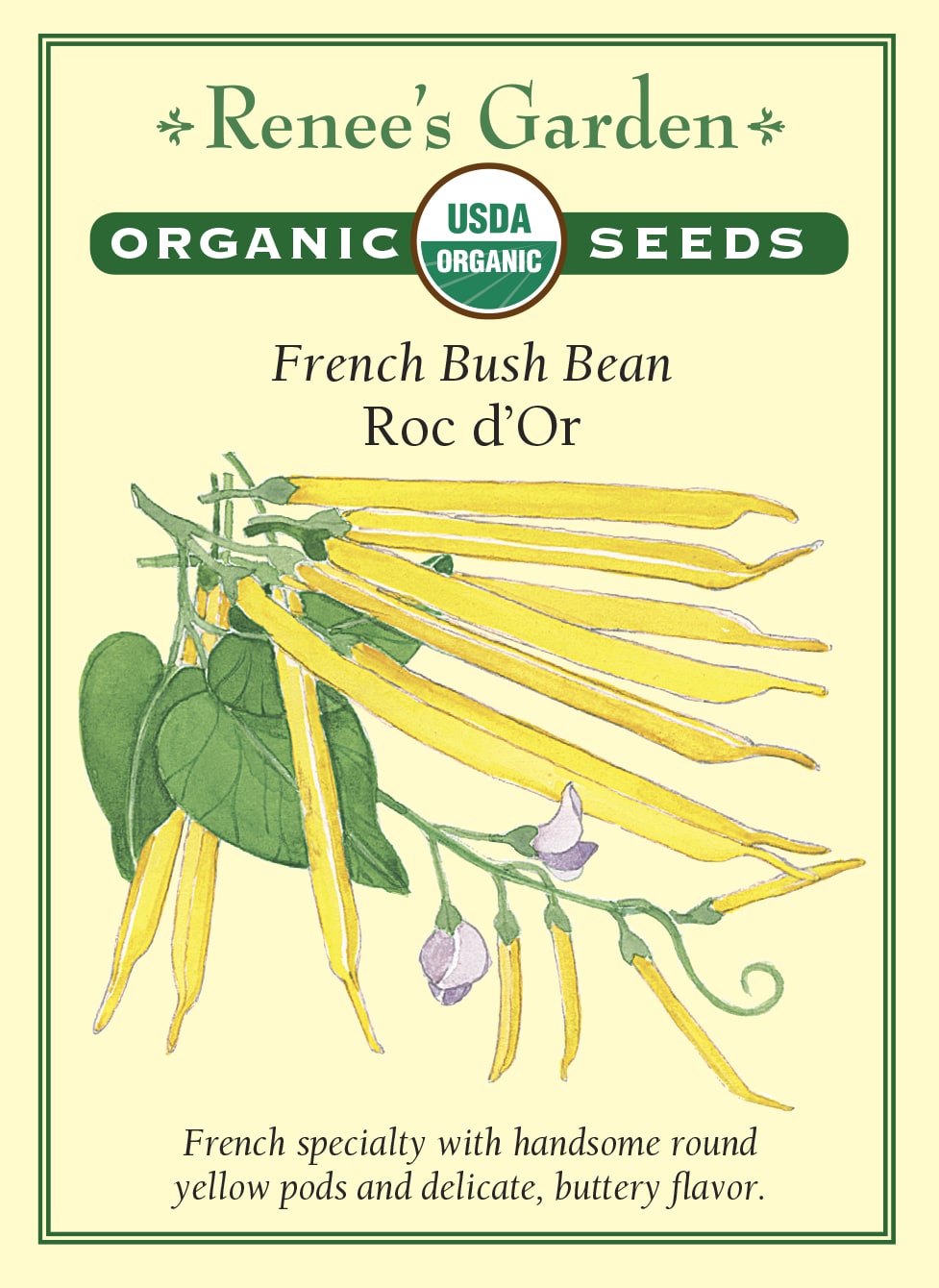 Visuel officiel de Renee's Garden pour les semences « Haricot nain ‘Roc d’Or’ », référence RN3066. Cette sélection française produit de longues gousses jaunes à section arrondie. Leur couleur ressort dans le feuillage et leur saveur est décrite comme délicate. Le semencier présente des plants vigoureux offrant une bonne production. Les gousses se destinent à une récolte de haricots frais; elles permettent aussi de varier les couleurs dans une planche de haricots verts et pourpres.