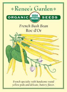 Visuel officiel de Renee's Garden pour les semences « Haricot nain ‘Roc d’Or’ », référence RN3066. Cette sélection française produit de longues gousses jaunes à section arrondie. Leur couleur ressort dans le feuillage et leur saveur est décrite comme délicate. Le semencier présente des plants vigoureux offrant une bonne production. Les gousses se destinent à une récolte de haricots frais; elles permettent aussi de varier les couleurs dans une planche de haricots verts et pourpres.
