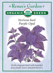 Visuel officiel de Renee's Garden pour les semences « Basilic ‘Purple Opal’ », référence RN3067. Cette référence biologique porte des feuilles pourpre grenat et des fleurs roses. Le semencier la propose aussi bien au potager que dans les bordures décoratives. Le feuillage est aromatique et peut entrer dans les bouquets. La couleur permet de diversifier une plantation de basilics verts.