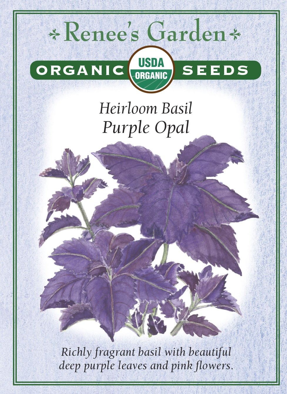 Visuel officiel de Renee's Garden pour les semences « Basilic ‘Purple Opal’ », référence RN3067. Cette référence biologique porte des feuilles pourpre grenat et des fleurs roses. Le semencier la propose aussi bien au potager que dans les bordures décoratives. Le feuillage est aromatique et peut entrer dans les bouquets. La couleur permet de diversifier une plantation de basilics verts.