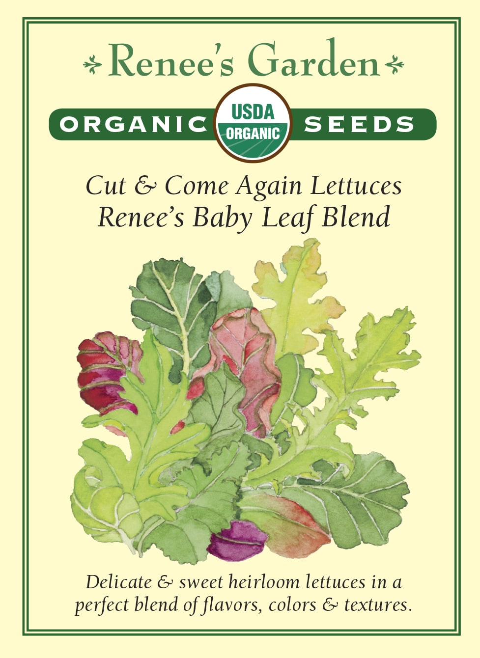 Visuel officiel de Renee's Garden pour les semences « Laitues en mélange Renee’s Special Baby Leaf », référence RN3070. Ce mélange biologique réunit à parts égales ‘Merveille des Quatre Saisons’, la romaine rouge ‘Silvia’, une laitue de type Crisphead et ‘Prizehead’. Il est destiné aux récoltes de jeunes feuilles rouges et vertes. Les différentes formes de limbes enrichissent la texture des salades. Une coupe prudente permet de préserver les points de croissance.