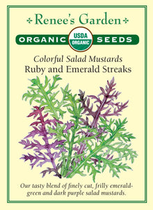 Visuel officiel de Renee's Garden pour les semences « Moutardes en mélange Ruby et Emerald Streaks », référence RN3075. Ce mélange biologique associe des moutardes à feuilles finement découpées, rouges ou vertes. Le semencier décrit une croissance rapide et une saveur relevée mais relativement douce pour des moutardes. Les couleurs et les découpes apportent du relief aux salades de jeunes feuilles. Les plants restent variables, puisqu’il s’agit de plusieurs sélections réunies.