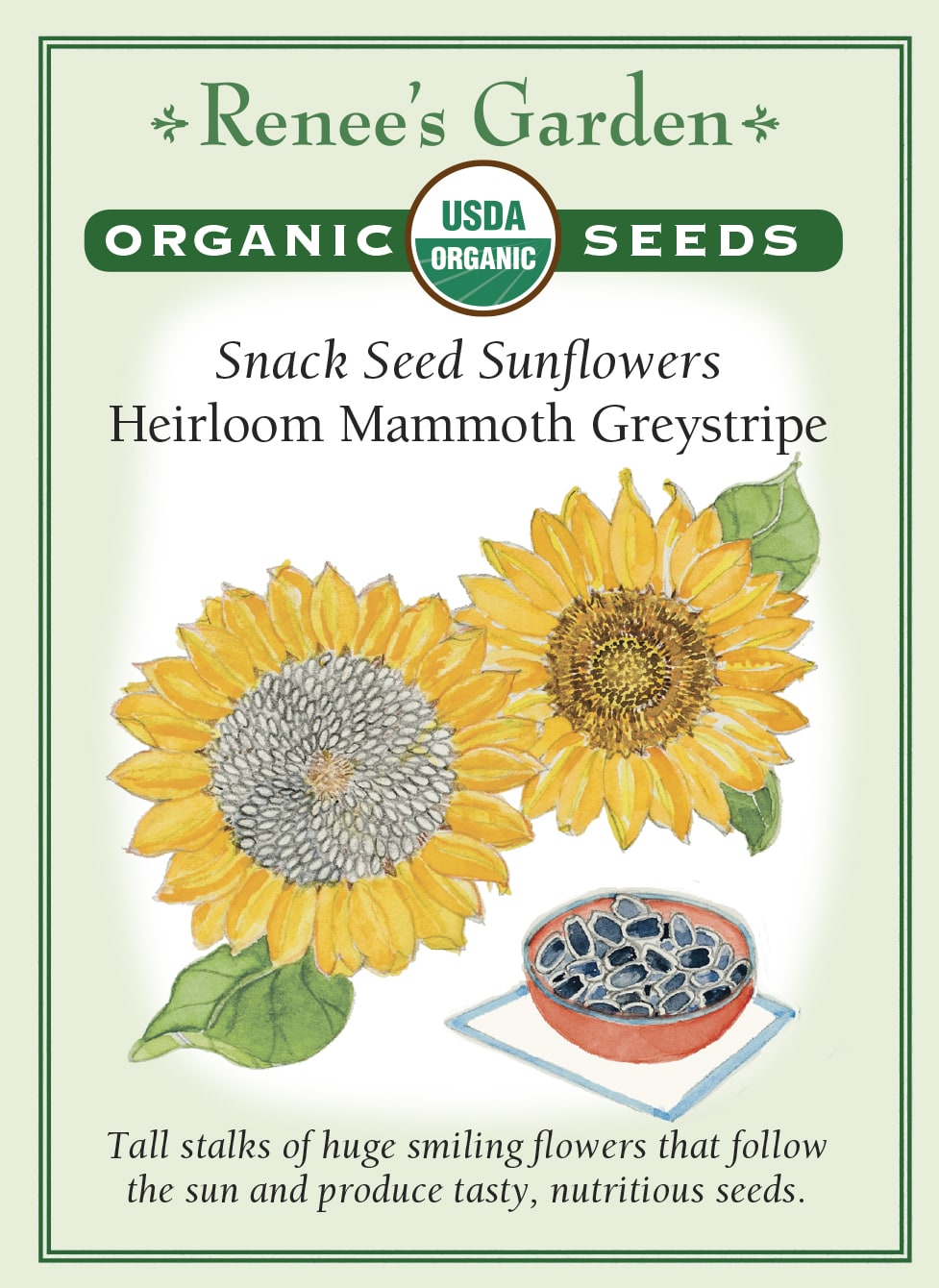Visuel officiel de Renee's Garden associé aux semences de Tournesol ‘Mammoth’, référence RN3077. Les grandes plantes portent des fleurs dorées visitées par les pollinisateurs. Les capitules mûrs renferment des graines comestibles bien remplies. La récolte peut être séchée pour la consommation ou laissée au jardin pour nourrir les oiseaux. Cette image accompagne la fiche de cette sélection et permet de repérer le produit correspondant dans le catalogue de semences.