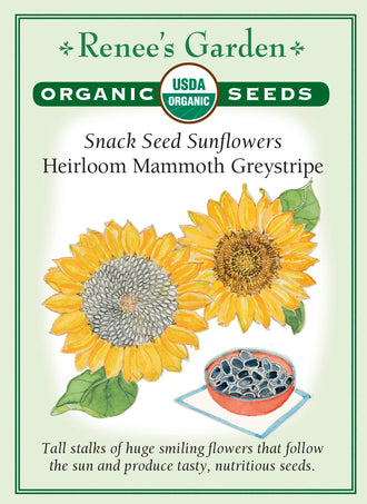 Visuel officiel de Renee's Garden associé aux semences de Tournesol ‘Mammoth’, référence RN3077. Les grandes plantes portent des fleurs dorées visitées par les pollinisateurs. Les capitules mûrs renferment des graines comestibles bien remplies. La récolte peut être séchée pour la consommation ou laissée au jardin pour nourrir les oiseaux. Cette image accompagne la fiche de cette sélection et permet de repérer le produit correspondant dans le catalogue de semences.