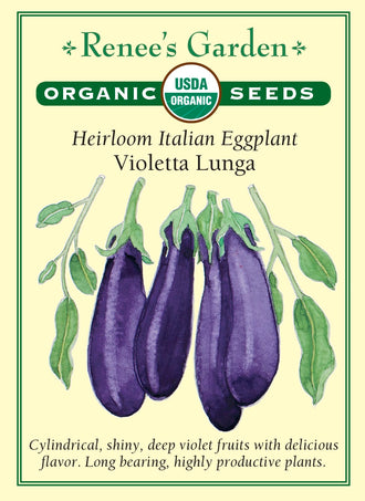 Visuel officiel de Renee's Garden pour les semences « Aubergine ‘Violetta Lunga’ », référence RN3081. Cette sélection italienne biologique donne des fruits allongés pourpre foncé. Le semencier décrit une production précoce et une chair douce contenant peu de graines. Les fruits se prêtent à la cuisson au gril, au four ou à la poêle. Leur forme allongée permet de préparer des tranches régulières pour différents plats d’aubergines.