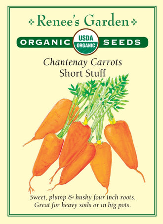 Visuel officiel de Renee's Garden pour les semences « Carotte ‘Short Stuff’ », référence RN3083. Cette carotte de type Chantenay produit des racines épaisses, triangulaires et courtes, d’environ 10 cm (4 po). La chair est orange jusqu’au cœur, juteuse et croquante. Le semencier la recommande notamment pour les sols plus lourds et la culture en contenant. Pour cette dernière, il propose une profondeur d’environ 30 à 38 cm (12 à 15 po), avec des apports réguliers d’eau.