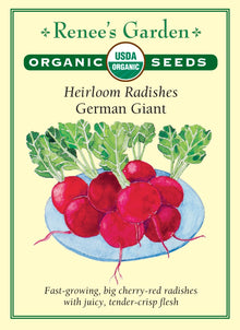 Visuel officiel de Renee's Garden pour les semences « Radis ‘German Giant’ », référence RN3086. Cette référence biologique produit des racines rondes rouge cerise, à chair juteuse et croquante. Le semencier souligne une saveur douce et une croissance rapide. Les racines conviennent aux collations et aux salades. Elles peuvent aussi être tranchées finement et servies sur du pain, sans devoir attendre un très gros calibre.