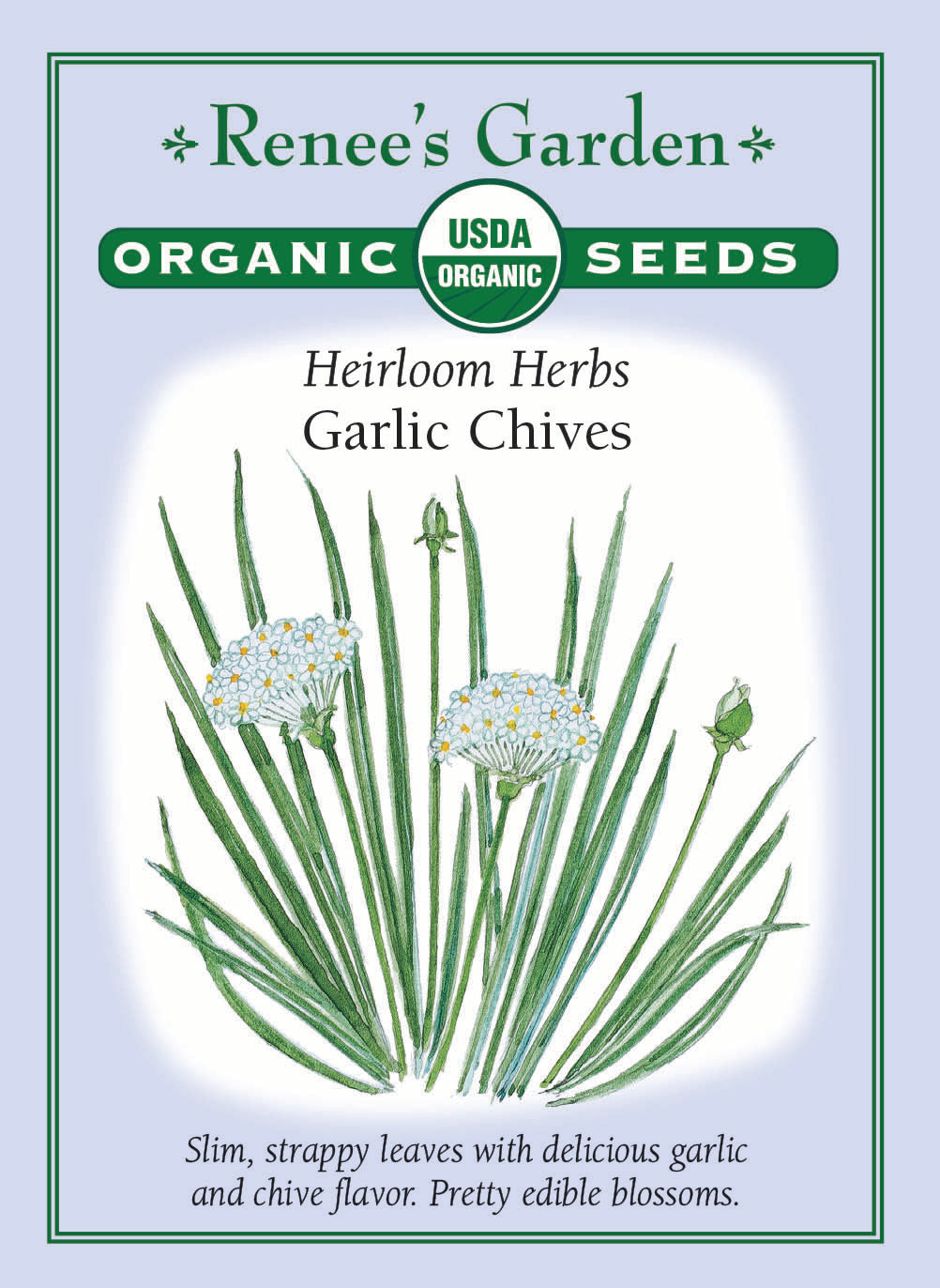 Visuel officiel de Renee's Garden associé aux semences de Ciboulette à l’ail, référence RN3087. Cette référence biologique d’Allium tuberosum forme des touffes de feuilles plates à saveur d’ail. Le semencier mentionne aussi des fleurs blanches comestibles. Les feuilles peuvent être ciselées sur les salades ou dans les plats salés. Il faut la distinguer de la ciboulette commune aux feuilles creuses et aux fleurs mauves.
