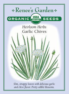 Visuel officiel de Renee's Garden associé aux semences de Ciboulette à l’ail, référence RN3087. Cette référence biologique d’Allium tuberosum forme des touffes de feuilles plates à saveur d’ail. Le semencier mentionne aussi des fleurs blanches comestibles. Les feuilles peuvent être ciselées sur les salades ou dans les plats salés. Il faut la distinguer de la ciboulette commune aux feuilles creuses et aux fleurs mauves.