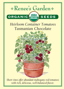 Visuel officiel de Renee's Garden pour les semences « Tomate ‘Tasmanian Chocolate’ », référence RN3088. Cette référence biologique porte des fruits rouge acajou, légèrement rayés, sur des plants courts et robustes. Le semencier la recommande pour les grands contenants et les petits espaces. Les tomates sont charnues, juteuses et à saveur équilibrée. Elles conviennent notamment aux tranches fraîches pour les salades et les sandwichs.