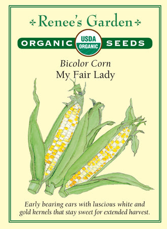 Visuel officiel de Renee's Garden pour les semences « Maïs sucré ‘My Fair Lady’ », référence RN3092. Cette référence biologique produit de gros épis bien garnis, sur des plants décrits comme vigoureux et précoces. Le semencier souligne des grains tendres et une saveur douce. Ce maïs sucré se récolte en épis frais, lorsque les grains ont atteint leur tendreté recherchée.