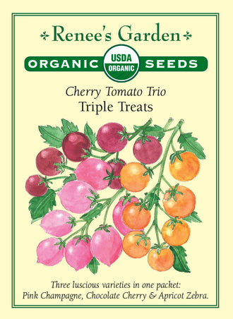 Visuel officiel de Renee's Garden pour les semences « Tomates cerises en mélange Triple Treats », référence RN3093. Cette référence biologique contient ‘Pink Champagne’, ‘Chocolate Cherry’ et ‘Apricot Zebra’. Le semencier utilise des graines roses pour ‘Pink Champagne’, vertes pour ‘Apricot Zebra’ et non colorées pour ‘Chocolate Cherry’. Le mélange associe des couleurs et des saveurs différentes. Les petits fruits sont proposés pour une consommation fraîche.