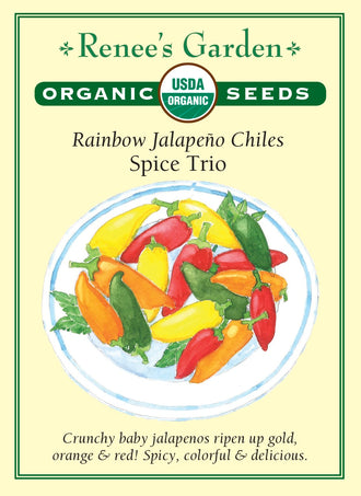 Visuel officiel de Renee's Garden pour les semences « Piments jalapeños en mélange Spice Trio », référence RN3094. Ce mélange biologique contient ‘Lemon Spice’, ‘Orange Spice’ et ‘Red Spice’, dont les fruits deviennent jaunes, orange ou rouges. Le semencier associe les graines non colorées à ‘Lemon Spice’, les vertes à ‘Orange Spice’ et les rouges à ‘Red Spice’. Les trois sélections offrent des fruits croquants et piquants.