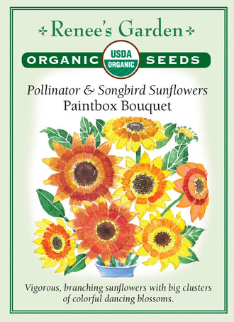 Visuel officiel de Renee's Garden associé aux semences de Tournesols en mélange Paintbox Bouquet, référence RN3095. Les plantes vigoureuses et ramifiées portent des groupes de fleurs unies et bicolores. Les fleurs peuvent être coupées pour les bouquets ou laissées au jardin pour les abeilles. Les capitules mûrs fournissent ensuite des graines aux oiseaux.