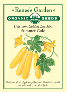 Visuel officiel de Renee's Garden pour les semences « Courgette ‘Summer Gold’ », référence RN3096. Cette référence biologique porte des fruits jaune doré, lisses, à chair ferme. Leur couleur ressort dans le feuillage vert foncé et facilite le repérage au moment de la récolte. Le semencier décrit une variété productive. Les jeunes fruits se cuisinent comme d’autres courgettes, selon le calibre souhaité.