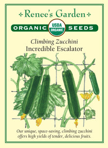 Visuel officiel de Renee's Garden pour les semences « Courgette ‘Incredible Escalator’ », référence RN3097. Cette référence biologique est proposée comme une courgette à conduire en hauteur sur un support. Les fruits verts possèdent une chair tendre et une saveur rappelant la noisette. Le semencier souligne l’intérêt de ce port pour économiser de l’espace et rendre la récolte accessible. Les tiges doivent être accompagnées et soutenues pendant leur développement.
