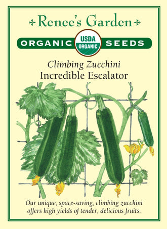 Visuel officiel de Renee's Garden pour les semences « Courgette ‘Incredible Escalator’ », référence RN3097. Cette référence biologique est proposée comme une courgette à conduire en hauteur sur un support. Les fruits verts possèdent une chair tendre et une saveur rappelant la noisette. Le semencier souligne l’intérêt de ce port pour économiser de l’espace et rendre la récolte accessible. Les tiges doivent être accompagnées et soutenues pendant leur développement.