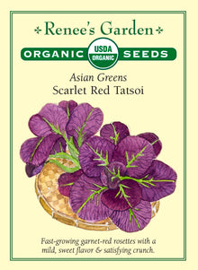 Visuel officiel de Renee's Garden pour les semences « Tatsoï ‘Scarlet Red’ », référence RN3099. Ce tatsoï biologique forme des rosettes basses de feuilles rouge cramoisi, lustrées, au revers vert. Le semencier décrit une texture croquante et une saveur douce. Les plants peuvent être récoltés jeunes ou laissés jusqu’à la formation de rosettes complètes. Leur goût convient aux salades et aux plats rapidement cuits, surtout pendant les périodes fraîches.