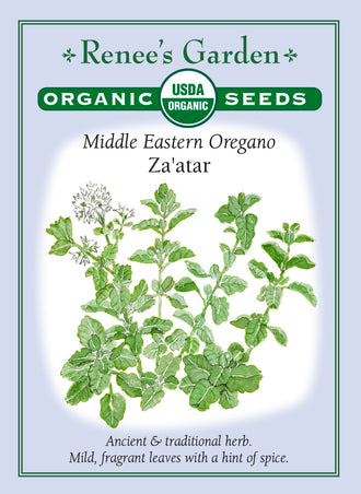 Visuel officiel de Renee's Garden associé aux semences d’origan syrien, référence RN3101. Cette référence biologique, également appelée zaatar, appartient à Origanum syriacum. Les feuilles douces au toucher dégagent des notes d’origan, de thym et d’épices. Le semencier recommande le soleil et un sol bien drainé. Cette espèce méditerranéenne ne doit pas être traitée comme un origan rustique ordinaire dans un jardin québécois.