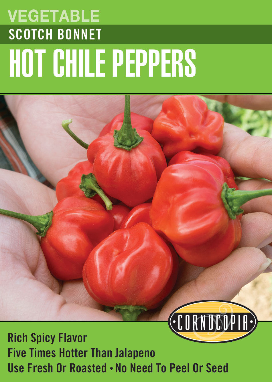 Visuel officiel de Cornucopia associé aux semences de Piment ‘Scotch Bonnet Red’, référence CS316. Cette référence propose le piment Scotch Bonnet Red. La culture demande un démarrage au chaud et une saison suffisamment longue pour permettre aux fruits de mûrir. Cette image accompagne la fiche de cette sélection et permet de repérer le produit correspondant dans le catalogue de semences.